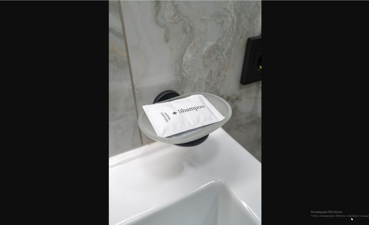 Люкс (Семейный), Отель Hotel Pullman DM