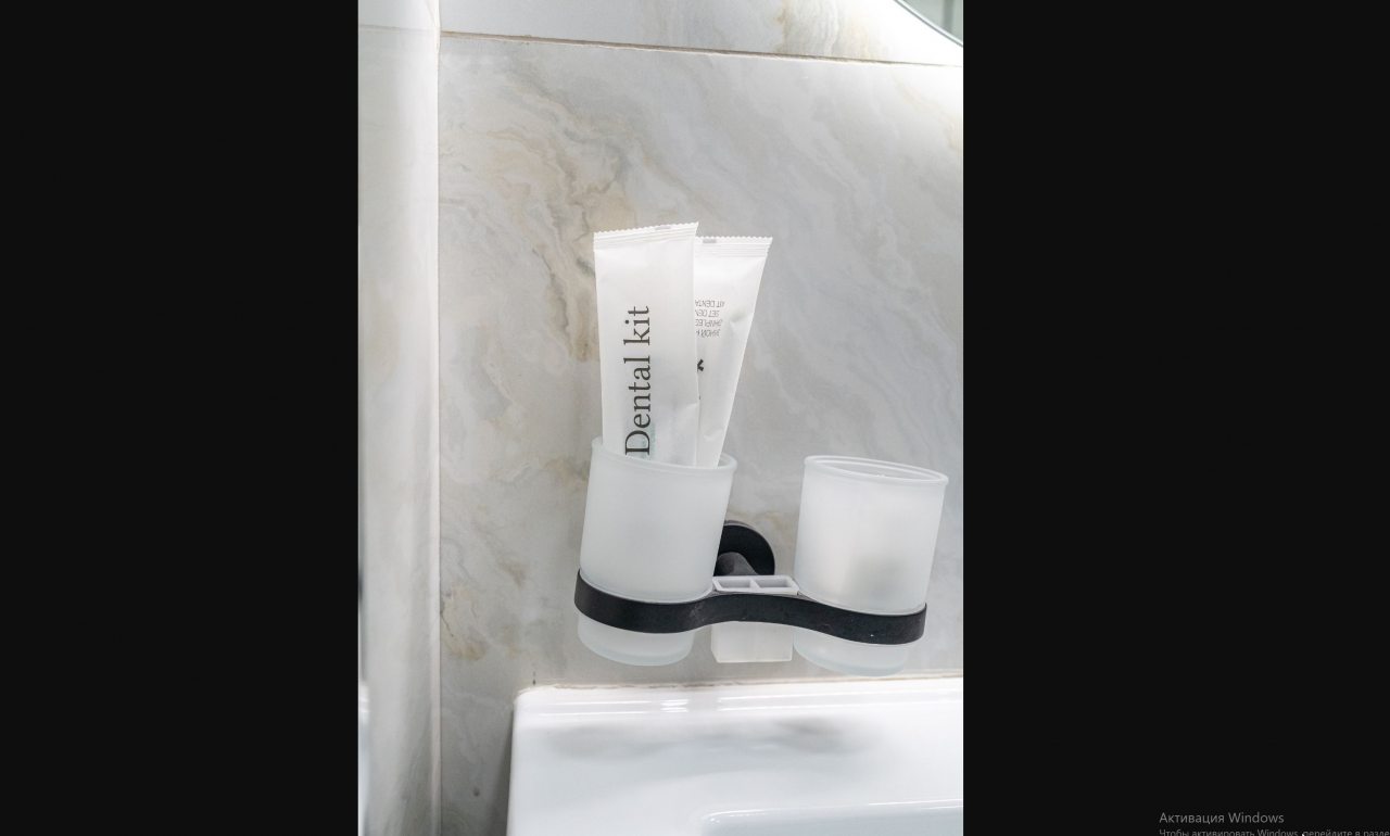 Четырехместный (Просторный deluxe), Отель Hotel Pullman DM