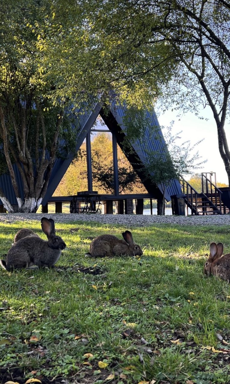 треугольны дом спа