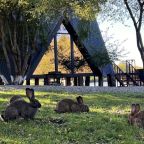 треугольны дом спа