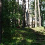 Коттедж (Дом на берегу Катуни), Глэмпинг Камышла Парк