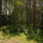Коттедж (Дом на берегу Катуни), Глэмпинг Камышла Парк