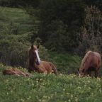 ОКРЕСНОСТИ