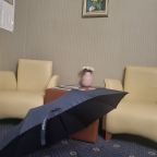 Зонт для гостей