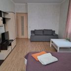 Квартира (Вместительная Good Sleep Apartments), Апартаменты Двухкомнатные Good Sleep Apartments