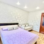 Апартаменты (Квартиры 3-х.комнатные в центре города), Апартаменты 3-х.комнатные квартиры у Ледового Дворца Спорта