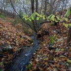 Дом (Гостевой дом "Паленки" 3), Апарт-отель Гостевые дома Паленки