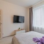 Квартира, Апартаменты SalutApart 17W