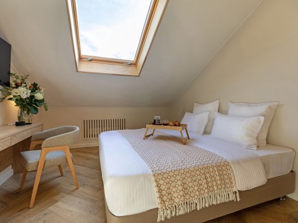 Фотография номера гостиницы Бутиу-отель Казначейский