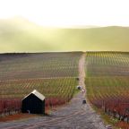 Винный туризм