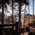 Сосновый лес