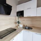 Трёхместный и более (Апартаменты в районе Кольцово), Апартаменты В районе Кольцово