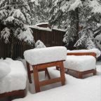 СИБИРСКИЙ БАННЫЙ ЧАН!!!!!