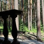 Дом (Барнхаус №1 с панорамой), База отдыха ДухЛес