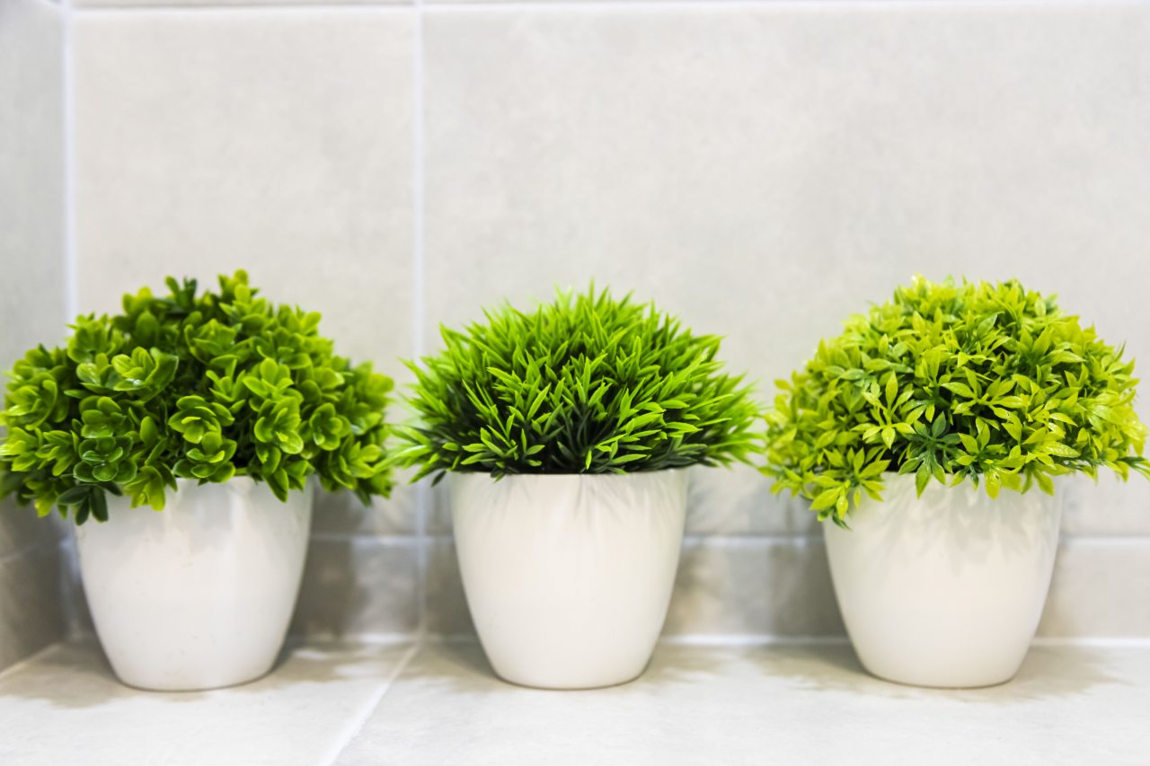 Двухместный (Стандарт плюс), Апартаменты SilverPeak