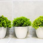 Двухместный (Стандарт плюс), Апартаменты SilverPeak