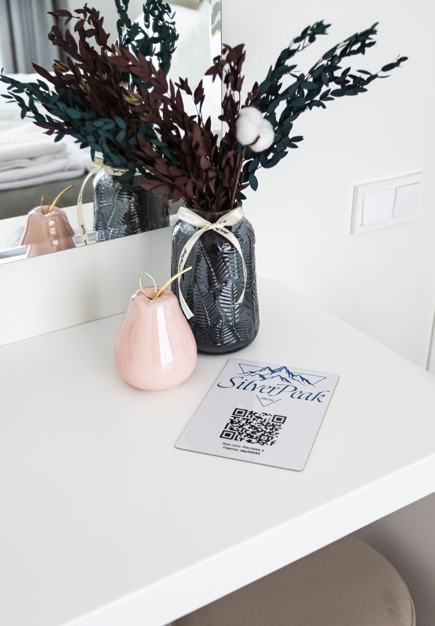 Двухместный (Cтандарт комфорт), Апартаменты SilverPeak