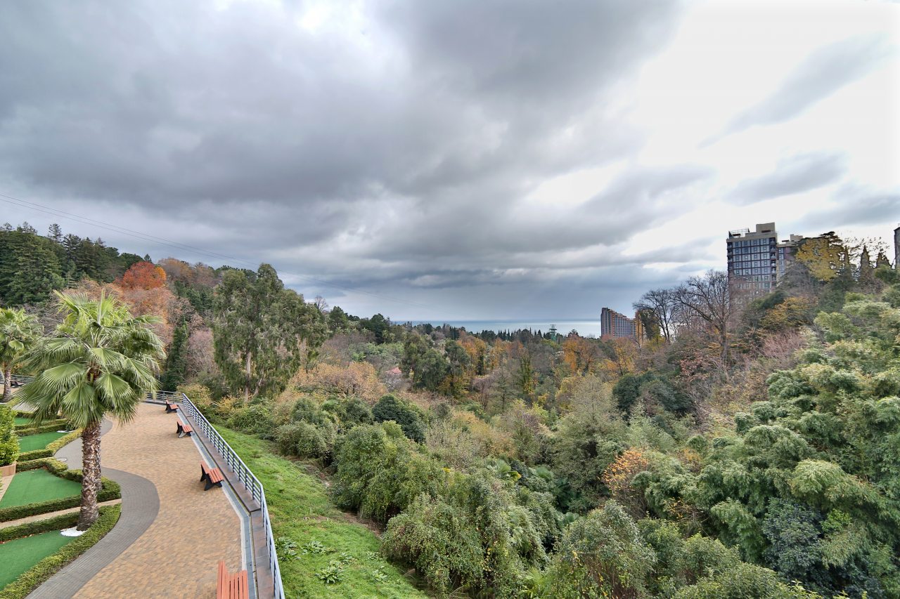 Двухместный (Классический номер с видом на море и дендрарий), Гостевой дом Delsochi