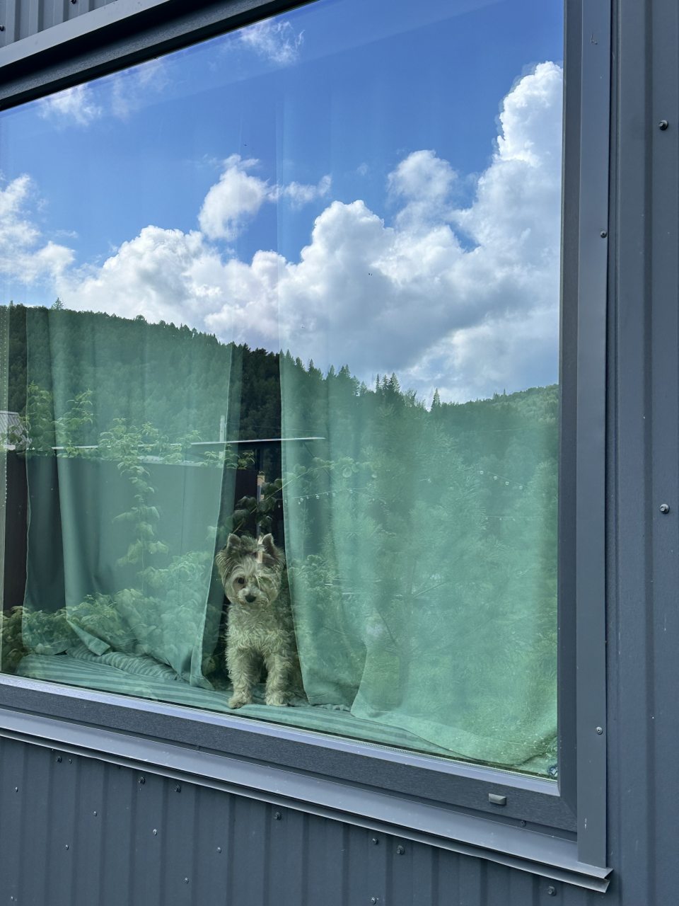 Двухместный (Малый дом), База отдыха BoraBora.Pavlovka