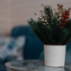 Коттедж (Апартаменты), Апарт-отель KayaSity