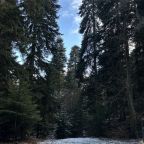 Семейный (Семейный 1), База отдыха Витаура