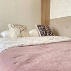 Апартаменты (Rose Apartment), Апартаменты Rose Apartment на Подполковника Емельянова 223