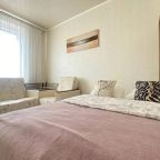 Апартаменты (Rose Apartment), Апартаменты Rose Apartment на Подполковника Емельянова 223