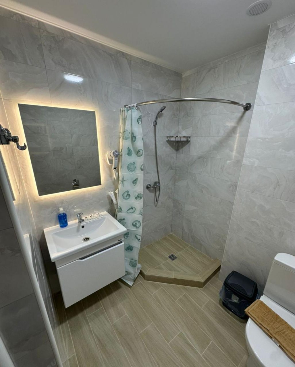 Люкс (Пятиместный местный семейный номер), Гостевой дом Троя