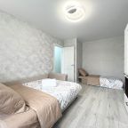 Апартаменты (Апартаменты в Кошелеве, Правый берег), Апартаменты 1-к квартира на Андрея Алешина