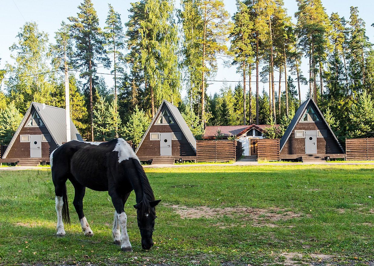 Бунгало (Афрейм), Загородный отель Клуб Барин