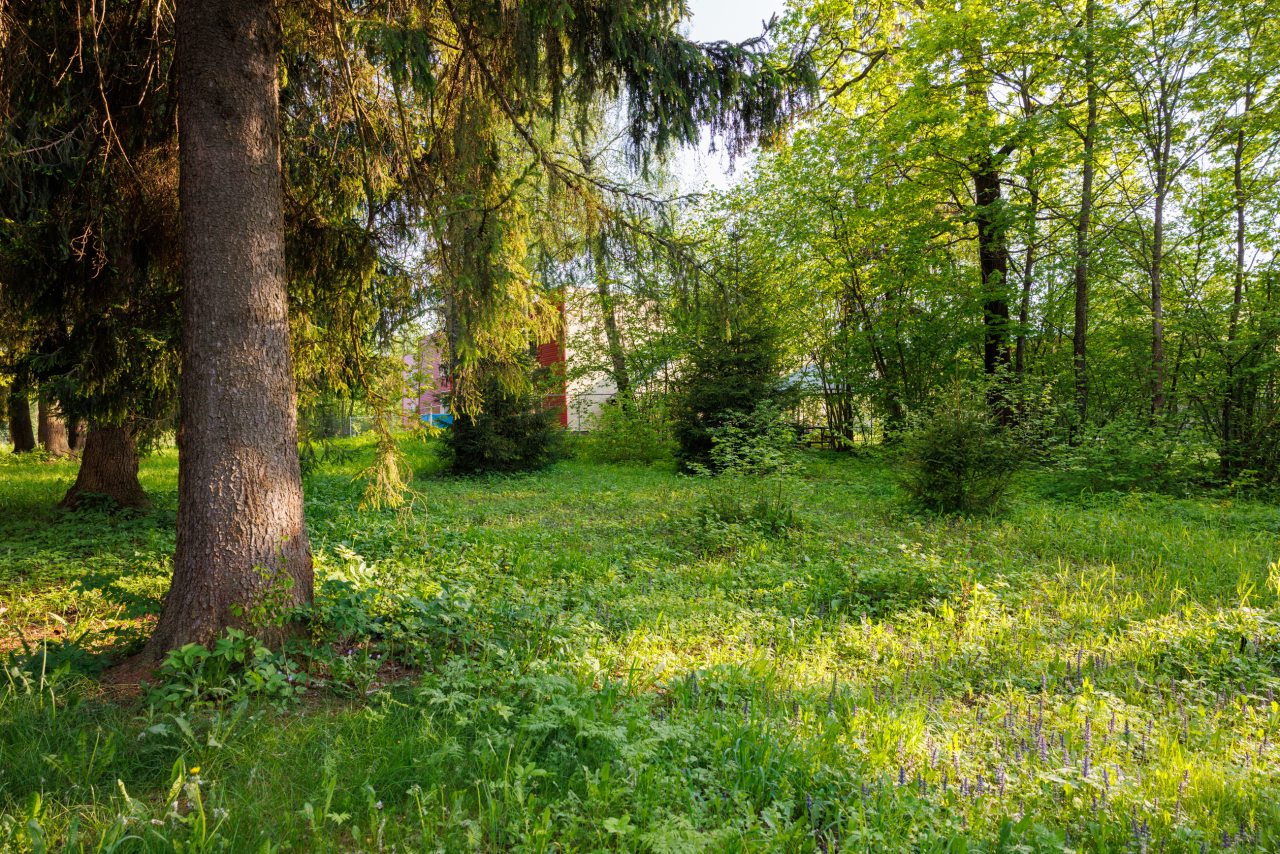 Дом (Солнечный 2), Дом отдыха Belikovo Club House