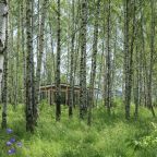 Шале (Домик трехместный), Глэмпинг Norke Есенинская Русь