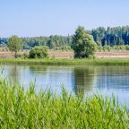 С домашними питомцами только по согласованию., Гостевой дом У воды Green House