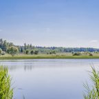 дом у водохранилища