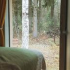 вид из спальни 2