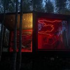 Дом (Дом Сутра 2-х комнатный), Коттедж Икс Лес