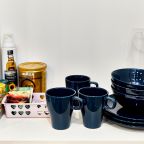 Делюкс, Апартаменты Критик Отдыхает на Литейном