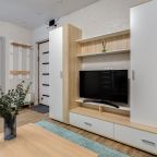 Трёхместный и более (Стильная однокомнатная квартира), Апартаменты ApartsLounge