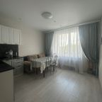 Трёхместный и более (Просторная однокомнатная квартира), Апартаменты ApartsLounge