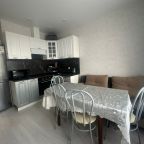 Трёхместный и более (Просторная однокомнатная квартира), Апартаменты ApartsLounge