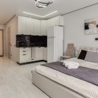 Двухместный (Просторная студия), Апартаменты ApartsLounge
