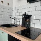 Двухместный (Просторная студия), Апартаменты ApartsLounge