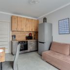 Трёхместный и более (Просторная однокомнатная квартира), Апартаменты ApartsLounge