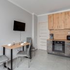 Трёхместный и более (Просторная однокомнатная квартира), Апартаменты ApartsLounge