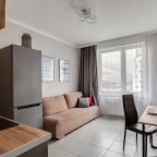 Трёхместный и более (Просторная однокомнатная квартира), Апартаменты ApartsLounge