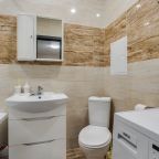 Трёхместный и более (Просторная 1 комн.квартира), Апартаменты ApartsLounge