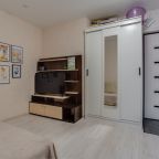 Трёхместный и более (Просторная 1 комн.квартира), Апартаменты ApartsLounge