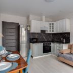 Трёхместный и более (Просторная 1 комн.квартира), Апартаменты ApartsLounge