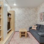 Трёхместный и более (Просторная однокомнатная квартира), Апартаменты ApartsLounge