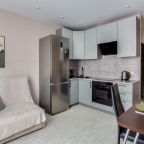 Трёхместный и более (Просторная однокомнатная квартира), Апартаменты ApartsLounge
